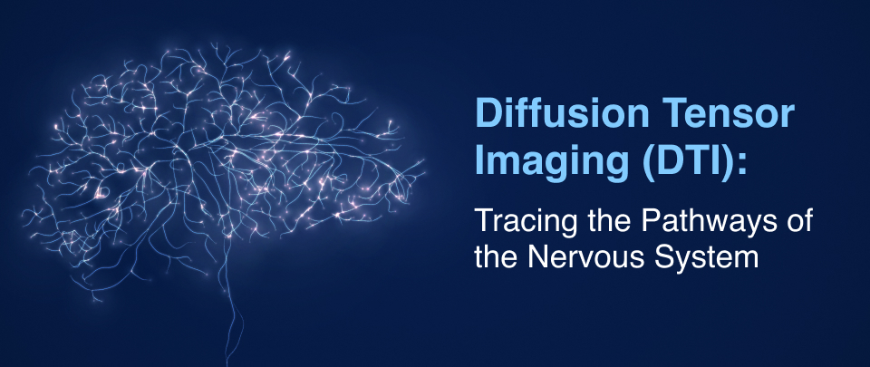 Diffusion Tensor Imaging (DTI): Tracing the Pathways of the Nervous System